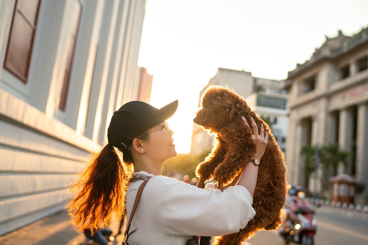 Exploring Hong Kong with your furry friend